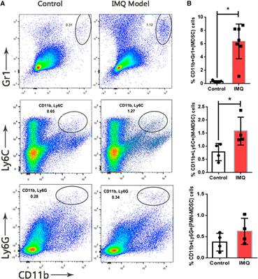 Chinese Medicine Formula PSORI-CM02 Alleviates Psoriatic Dermatitis via M-MDSCs and Th17 Crosstalk